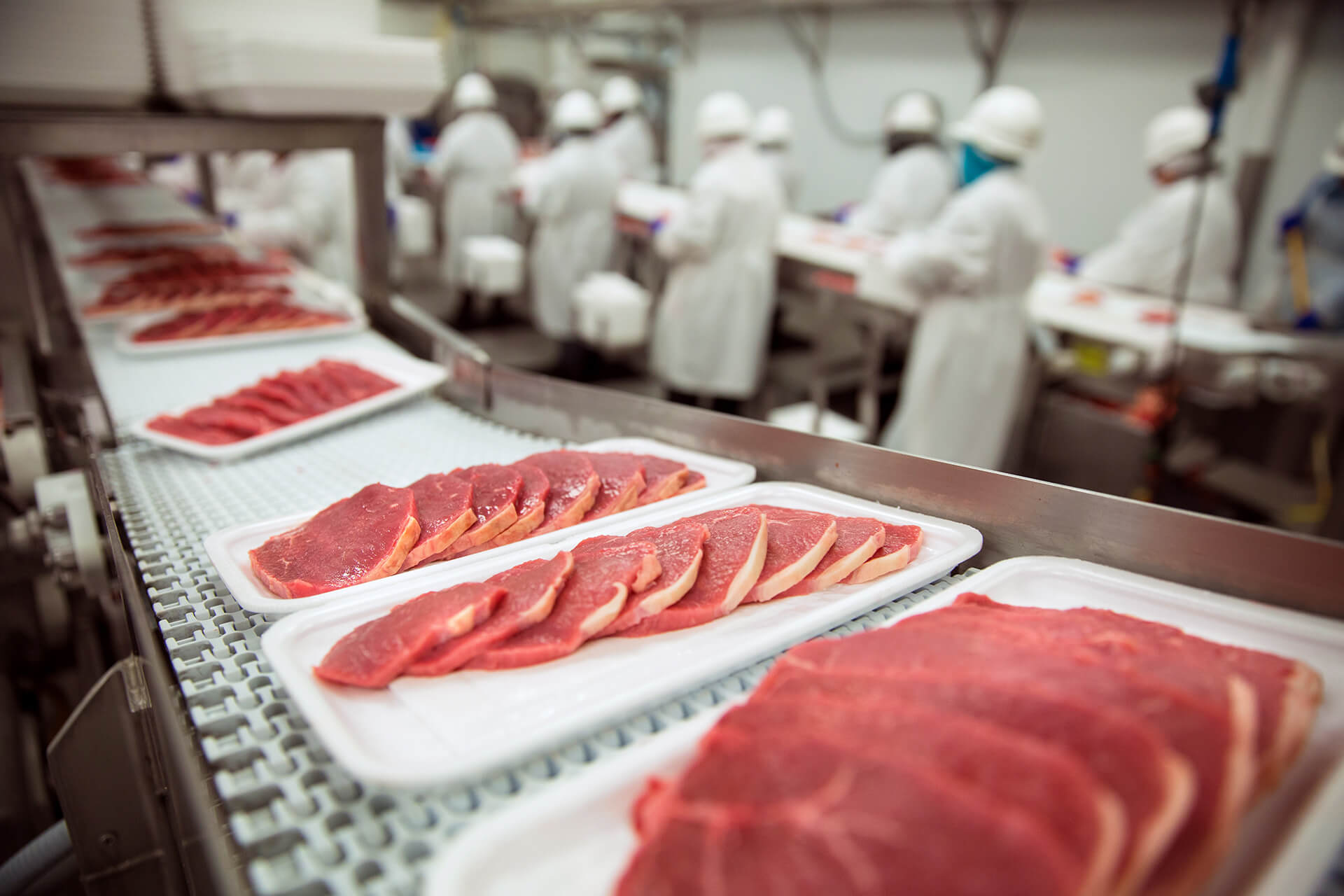 Food & Beverage Training: The Most Common Questions In The Food And Beverage Industry Today